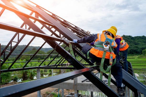 Best Metal Roofing Contractor  in Dresden, TN