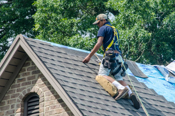 Best New Roof Installation  in Dresden, TN